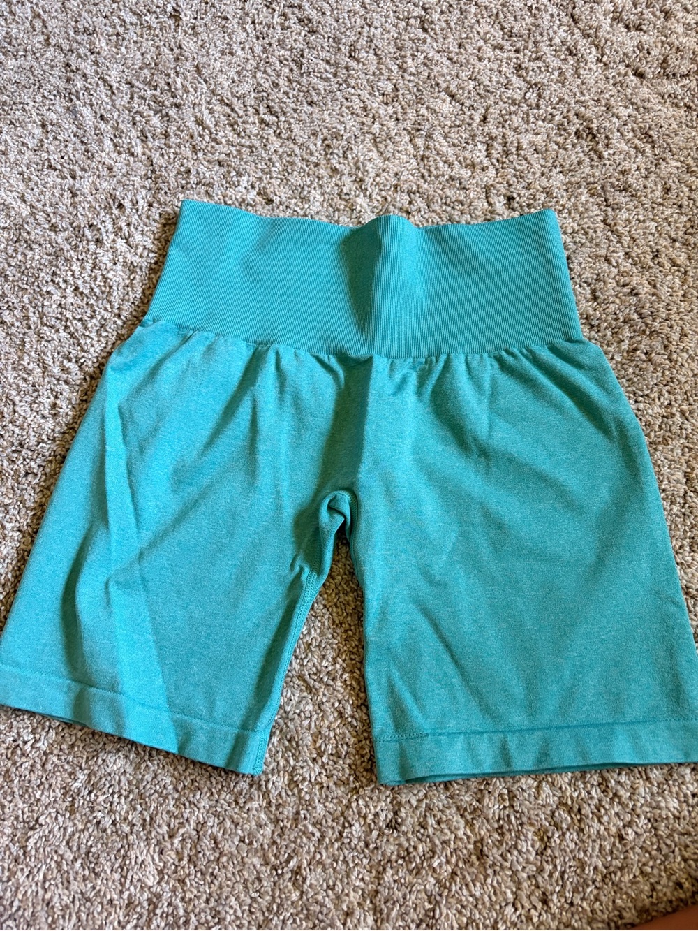 Nvgtn seamless shorts